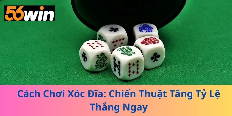 Cách Chơi Xóc Đĩa: Chiến Thuật Tăng Tỷ Lệ Thắng Ngay