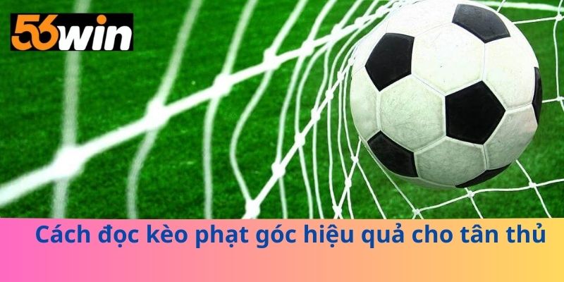 Cách đọc kèo phạt góc hiệu quả cho tân thủ