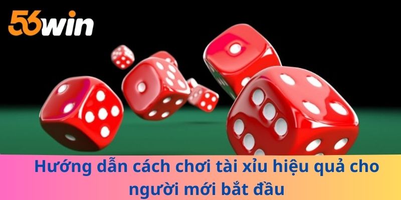 Hướng dẫn cách chơi tài xỉu hiệu quả cho người mới bắt đầu